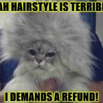 MAH HAIR | MAH HAIRSTYLE IS TERRIBLE! I DEMANDS A REFUND! | image tagged in mah hair | made w/ Imgflip meme maker