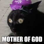 Traumatized Wizard Cat 2 | MOTHER OF GOD | image tagged in traumatized wizard cat 2 | made w/ Imgflip meme maker