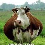 Cow | TWELVE YEARS? HOLD MY BEER!... | image tagged in cow | made w/ Imgflip meme maker