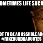 Buddha - Quotes | SOMETIMES LIFE SUCKS; TRY NOT TO BE AN ASSHOLE ABOUT IT
#FAKEBUDDHAQUOTES | image tagged in buddha - quotes | made w/ Imgflip meme maker