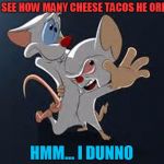 Pinky and the Brain | DO YOU SEE HOW MANY CHEESE TACOS HE ORDERED? HMM... I DUNNO | image tagged in pinky and the brain | made w/ Imgflip meme maker