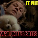 Silence of the lambs lotion | IT PUTS THE; WAX ON IT'S BALLS | image tagged in silence of the lambs lotion | made w/ Imgflip meme maker