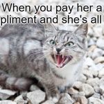 Be careful of whom you're nice to! | When you pay her a compliment and she's all like: | image tagged in hissing cat,memes | made w/ Imgflip meme maker