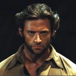 Wolverine stern face