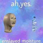 Enslaved moisture meme