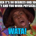 Wata! | WHEN IT'S 98 DEGREES AND 100% HUMIDITY AND YOU WORK PHYSICAL LABOR... WATA! | image tagged in wata | made w/ Imgflip meme maker