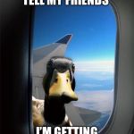 Duck Plane Window | SHHHH DON’T TELL MY FRIENDS; I’M GETTING A LIFT TO CANADA | image tagged in duck plane window | made w/ Imgflip meme maker