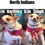 Repentant Chihuahua | North Indians; h in `Singh`; h in `Karthik` | image tagged in repentant chihuahua | made w/ Imgflip meme maker