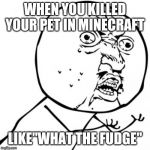 Why You No | WHEN YOU KILLED YOUR PET IN MINECRAFT; LIKE"WHAT THE FUDGE" | image tagged in why you no | made w/ Imgflip meme maker