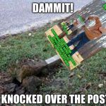 One too many reposts | DAMMIT! IT KNOCKED OVER THE POST | image tagged in please repost,repost,too,too damn high,nixieknox,neo | made w/ Imgflip meme maker