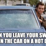 Ace Ventura iced window  | WHEN YOU LEAVE YOUR SWEATY GI IN THE CAR ON A HOT DAY | image tagged in ace ventura iced window | made w/ Imgflip meme maker