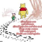 pooh and piglet | Goodbyes are not forever. 
Goodbyes are not the end. 
They only mean "I'll miss you", 
Until we meet again. | image tagged in pooh and piglet | made w/ Imgflip meme maker