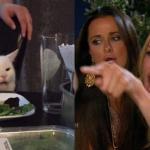 reverse cat at dinner table meme