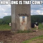 Long Cow | HOW LONG IS THAT COW? | image tagged in long cow | made w/ Imgflip meme maker