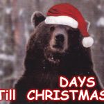 xmaas bear | DAYS
Till  CHRISTMAS | image tagged in xmaas bear | made w/ Imgflip meme maker