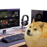 bread doge in computer template