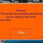 The server has automatically banned you for saying a bad word meme