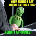 Kermit | YOUR FRIENDS SAY YOU'RE DATING A PIG? KERMIT APPROVES! | image tagged in kermit | made w/ Imgflip meme maker