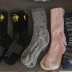Camino Socks
