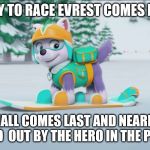 tony hawking with everest | READY TO RACE EVREST COMES FIRST; MARSHALL COMES LAST AND NEARLY GETS KNOCKED  OUT BY THE HERO IN THE PRIVATES | image tagged in everest snowboarding paw patrol | made w/ Imgflip meme maker