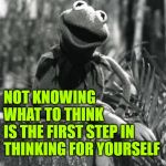 What Would Kermit Think? | NOT KNOWING
WHAT TO THINK
IS THE FIRST STEP IN
THINKING FOR YOURSELF | image tagged in so true memes,kermit the frog,words of wisdom,role model,think for yourself,thinking meme | made w/ Imgflip meme maker