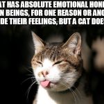 pissy cat | “A CAT HAS ABSOLUTE EMOTIONAL HONESTY: HUMAN BEINGS, FOR ONE REASON OR ANOTHER, MAY HIDE THEIR FEELINGS, BUT A CAT DOES NOT.” | image tagged in pissy cat | made w/ Imgflip meme maker
