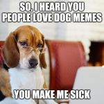 Severe judge Beagle Bagel. | SO, I HEARD YOU PEOPLE LOVE DOG MEMES; YOU MAKE ME SICK | image tagged in smart beagle | made w/ Imgflip meme maker