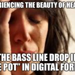 Crying Lady | EXPERIENCING THE BEAUTY OF HEARING; THE BASS LINE DROP IN “THE POT” IN DIGITAL FORMAT. | image tagged in crying lady | made w/ Imgflip meme maker