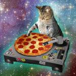 Cat pizza meme