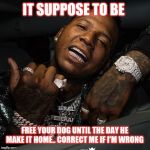 Moneybagg yo | IT SUPPOSE TO BE; FREE YOUR DOG UNTIL THE DAY HE MAKE IT HOME.. CORRECT ME IF I'M WRONG | image tagged in moneybagg yo | made w/ Imgflip meme maker