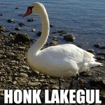 alternate names | HONK LAKEGUL | image tagged in alternate names | made w/ Imgflip meme maker