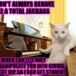 I DON'T ALWAYS | I DON'T ALWAYS BEHAVE LIKE A TOTAL JACKASS; BUT WHEN I DO IT'S ONLY TO MANIPULATE YOU INTO GIVING ME CAT NIP SO I CAN GET STONED! | image tagged in i don't always | made w/ Imgflip meme maker