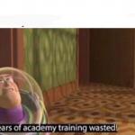 Years Of Academy Training Wasted meme