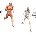 titan skeleton run