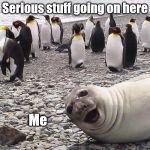 Serious stuff photo bomb | Serious stuff going on here; Me | image tagged in photo bomb,funny,penguins,seal | made w/ Imgflip meme maker