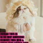 NOT AMUSING | HUMAN THIS IS IN NO WAY AMUSING! REMOVE THIS WIG & THESE FAKE BOOBS THIS SECOND! AND STOP LAUGHING! | image tagged in not amusing | made w/ Imgflip meme maker