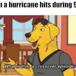 Crossover Dog | When a hurricane hits during 9/11: | image tagged in crossover dog | made w/ Imgflip meme maker