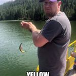 Gerald Yellow Perch | THIS IS GERALD; YELLOW PERCH KILLER | image tagged in gerald yellow perch | made w/ Imgflip meme maker