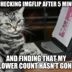 thanks LordCheesus for being my only follower :) | ME CHECKING IMGFLIP AFTER 5 MINUTES; AND FINDING THAT MY FOLLOWER COUNT HASN'T GONE UP | image tagged in computer cat,memes,cats,lordcheesus | made w/ Imgflip meme maker