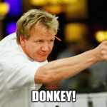 Gordon Ramsay point | DONKEY! | image tagged in gordon ramsay point | made w/ Imgflip meme maker