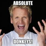 Gordon Ramsay Pun | ABSOLUTE; DONKEYS! | image tagged in gordon ramsay pun | made w/ Imgflip meme maker