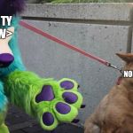 Furry scaring dog | BEASTIALITY FURRY <EW>; ME, A NORMAL FURRY | image tagged in furry scaring dog | made w/ Imgflip meme maker