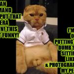 PEE PEE KITTY | HUMAN I DEMAND YOU PUT THAT CAMERA DOWN! THIS ISN'T FUNNY! I'M SICK OF YOU PUTTING ME IN DUMB SHIRT, SITTING ME LIKE THIS & PHOTOGRAPHING MY PEE PEE! | image tagged in pee pee kitty | made w/ Imgflip meme maker