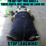 I'M NOT FAT | I'M NOT FAT! THIS ANGLE & THESE PANTS JUST MAKE ME LOOK FAT. STOP LAUGHING! | image tagged in i'm not fat | made w/ Imgflip meme maker