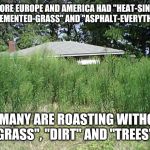 Overgrown Grass | BEFORE EUROPE AND AMERICA HAD "HEAT-SINKS" OF "CEMENTED-GRASS" AND "ASPHALT-EVERYTHING". SO MANY ARE ROASTING WITHOUT "GRASS", "DIRT" AND "TREES". | image tagged in overgrown grass | made w/ Imgflip meme maker