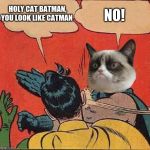 Grumpy Cat Slapping Robin | HOLY CAT BATMAN, YOU LOOK LIKE CATMAN; NO! | image tagged in grumpy cat slapping robin | made w/ Imgflip meme maker