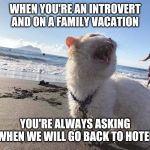Cat on the beach screaming | WHEN YOU'RE AN INTROVERT AND ON A FAMILY VACATION; YOU'RE ALWAYS ASKING WHEN WE WILL GO BACK TO HOTEL | image tagged in cat on the beach screaming | made w/ Imgflip meme maker