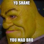 Shrek cringe | YO SHANE; YOU MAD BRO | image tagged in shrek cringe | made w/ Imgflip meme maker