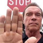 Arnold Schwarzenegger Stop meme