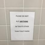 Please do not put anything in toilets other than toilet paper